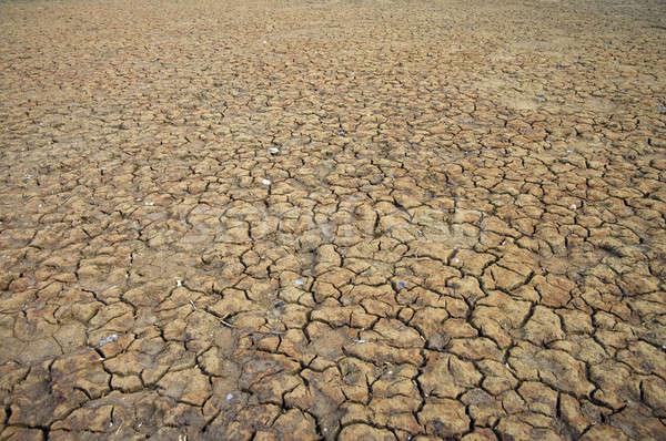 Stock photo: Dry Cracked Earth