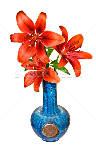 Rood lelies Blauw vaas drie kleurrijk Stockfoto © 2tun