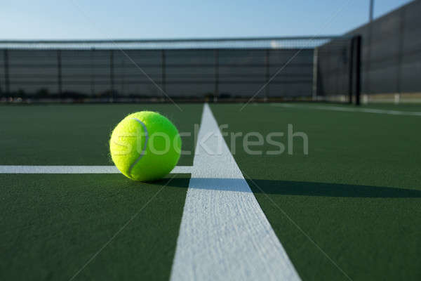 Balle de tennis tribunal lignes sport balle [[stock_photo]] © 33ft
