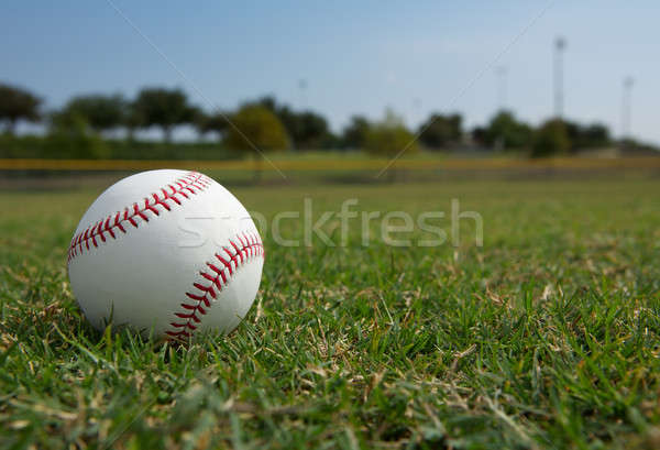 Baseball nowego trawy dziedzinie piłka gry Zdjęcia stock © 33ft