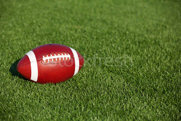 American Football on the Turf Stock photo © 33ft