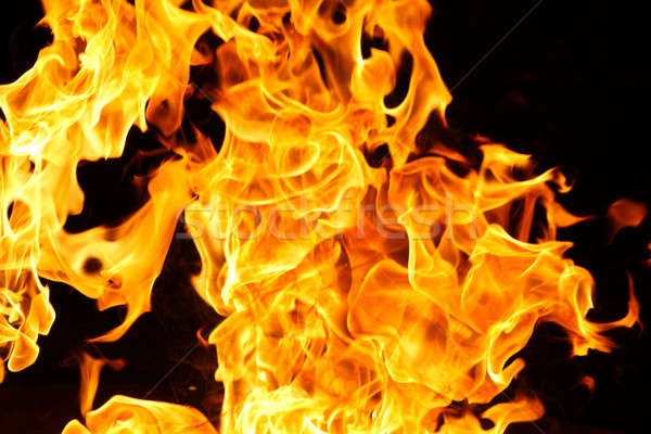 Ognia płomień szczegół palenie tle żółty Zdjęcia stock © 33ft