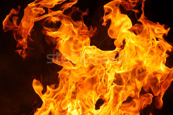 Ognia płomień szczegół palenie tle żółty Zdjęcia stock © 33ft