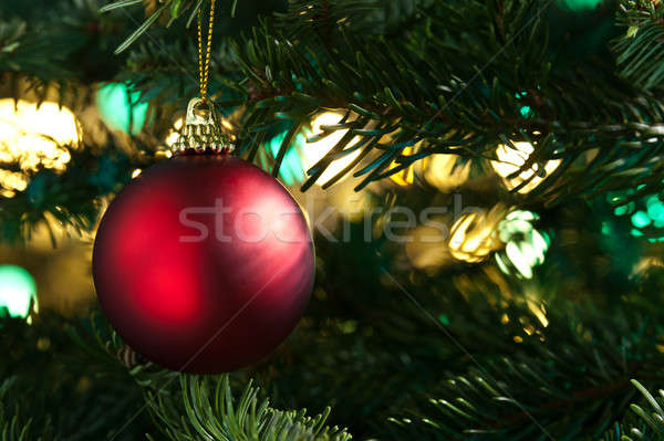 Decorative red bauble in a Christmas tree  Stock photo © 3523studio