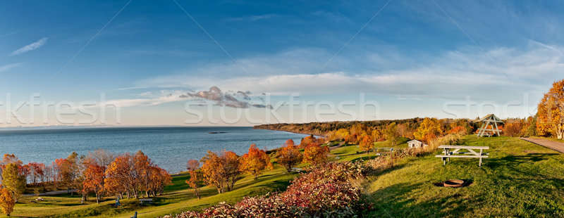 Campground in the morning sun Stock photo © 3523studio