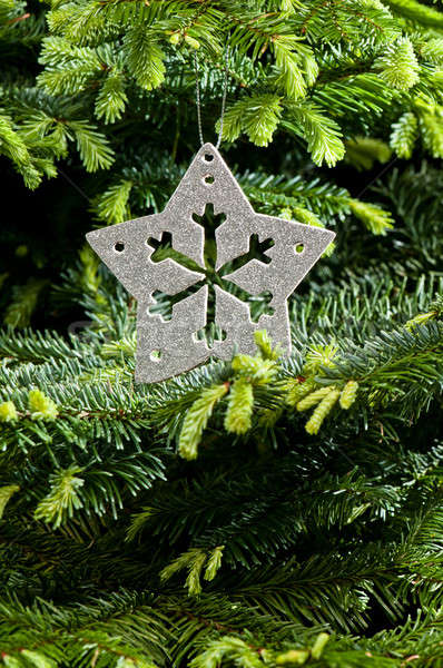 Silver Christmas ornament Stock photo © 3523studio