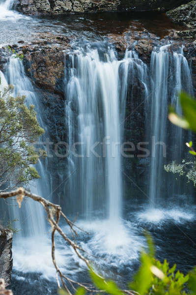 Pencil Pine Falls, Cradle Mountain Stock photo © 3523studio