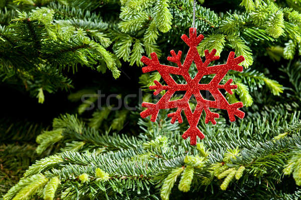 Rojo artificial copo de nieve ornamento frescos pino Foto stock © 3523studio