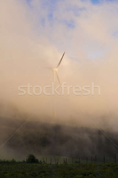 Windmill in the countryside during fog  Stock photo © 3523studio