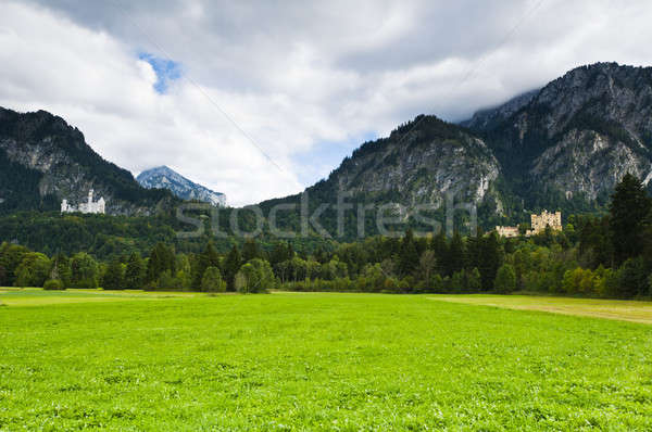 Castle Neuschwanstein and hohenschwangau with alps Stock photo © 3523studio