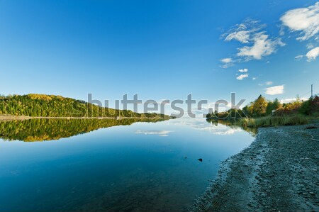 Autumn forest reflection in the ocean Stock photo © 3523studio