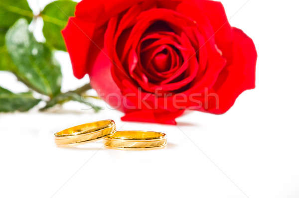 Red rose and wedding rings over white Stock photo © 3523studio