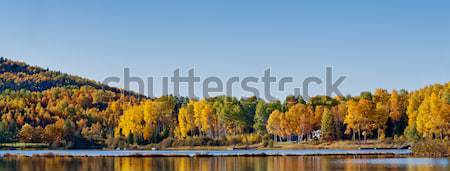 Lombhullató erdő tükröződés tó gyönyörű ősz Stock fotó © 3523studio
