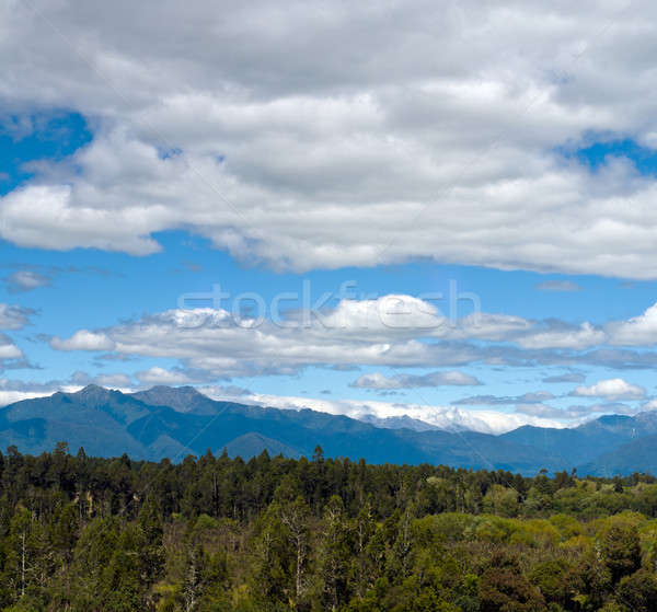 Massive cloudy sky above the wilderness  Stock photo © 3523studio