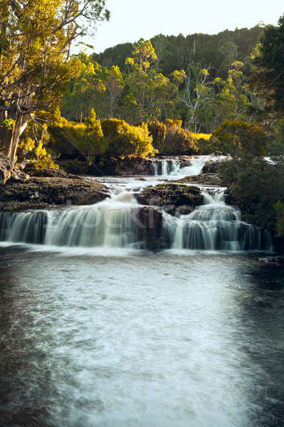 Cascata vicino culla montagna tasmania Australia Foto d'archivio © 3523studio