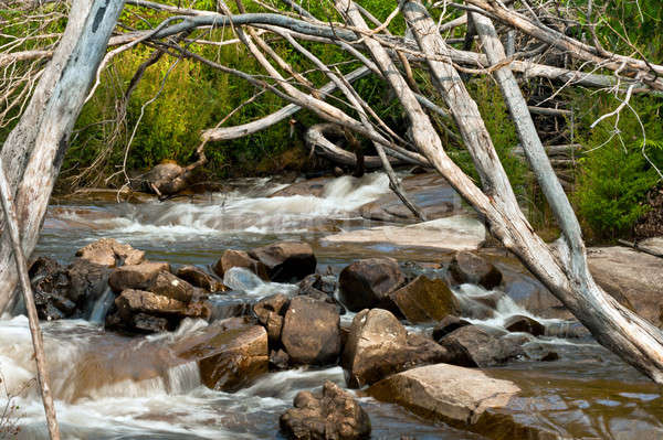 Stock foto: Tal · Melbourne · Australien · Natur · Bäume · rock