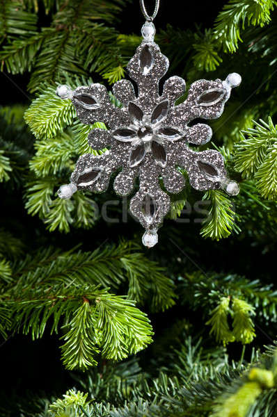 Stockfoto: Star · vorm · christmas · ornament · zilver · kleur