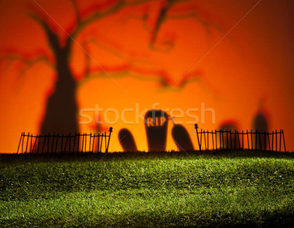 Halloween landschap kleurrijk boom kerkhof ontwerp Stockfoto © 3523studio