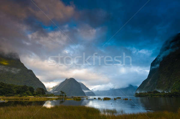 Cloudy morning at milford sound at sunrise Stock photo © 3523studio