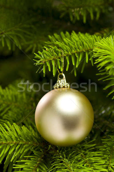 Stockfoto: Bal · vorm · kerstboom · decoratie · christmas · echt