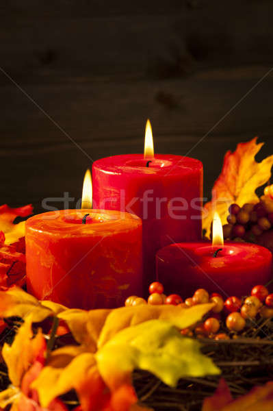 Herbst Kerzen nice schönen farbenreich Herbstlaub Stock foto © 3523studio