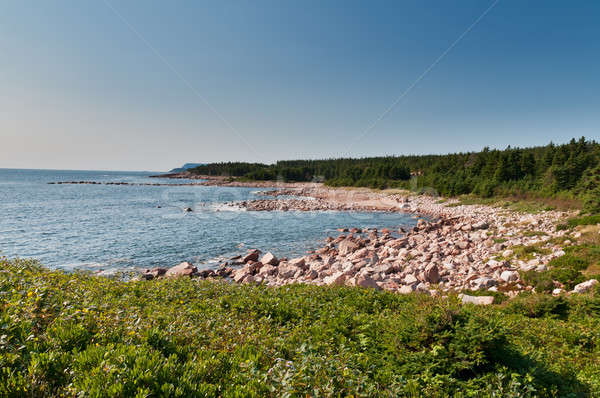 Green Cove, Cape Breton Island Stock photo © 3523studio