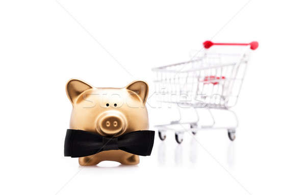 Lucky shopping with a golden pig Stock photo © 3523studio