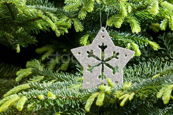 Silver Christmas ornament Stock photo © 3523studio