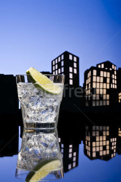 Stockfoto: Metropolis · gin · cocktail · partij · restaurant