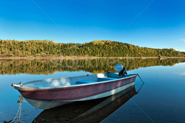 Autumn forest reflection in the ocean Stock photo © 3523studio