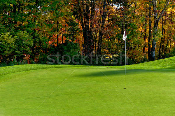 Golf course putting green Stock photo © 3523studio