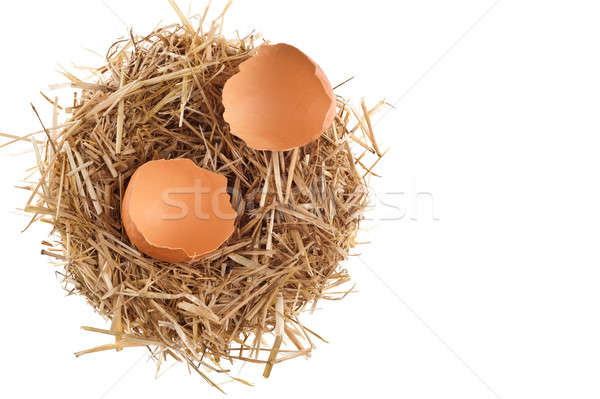 Stock photo: Straw nest with broken chicken eggshell 