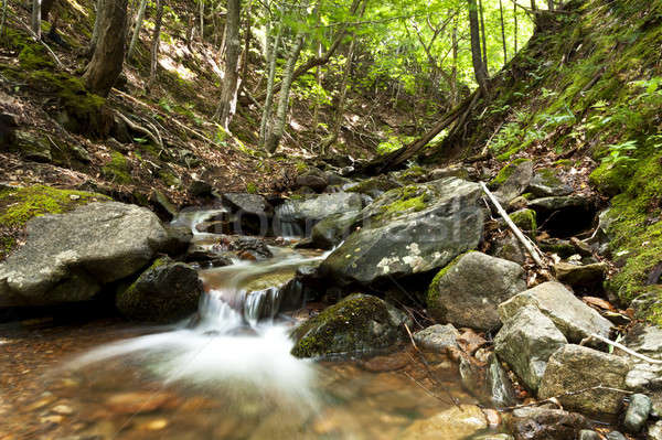 Stock photo: Small beautiful waterfall in a forest