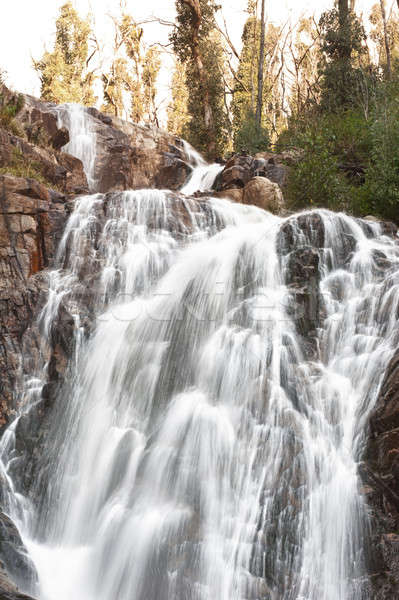 Stock foto: Tal · Melbourne · Australien · Natur · Bäume · rock