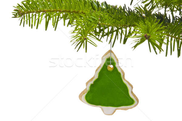 Zweig Weihnachtsbaum dekoriert Cookie weiß grünen Stock foto © 3523studio