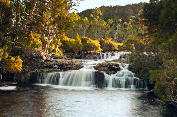 Foto d'archivio: Cascata · vicino · culla · montagna · tasmania · Australia