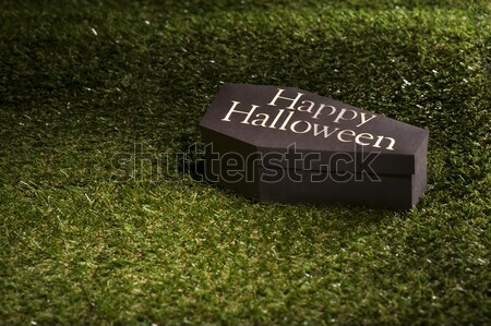 Halloween koporsó gyep levelek boldog fekete Stock fotó © 3523studio