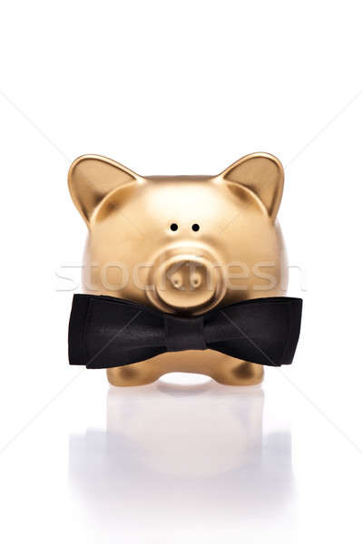 Golden piggy bank with bow tie  Stock photo © 3523studio