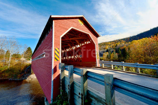 Wooden covered bridge  Stock photo © 3523studio