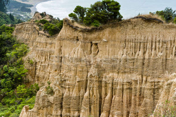 Cathedral cliffs South island of New Zealand Stock photo © 3523studio