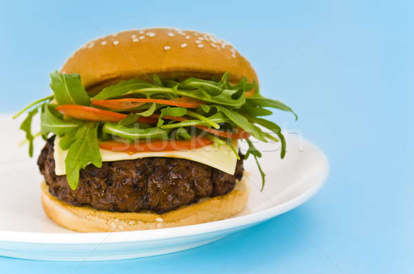 Foto stock: Hambúrguer · queijo · misto · tomates · salada · não