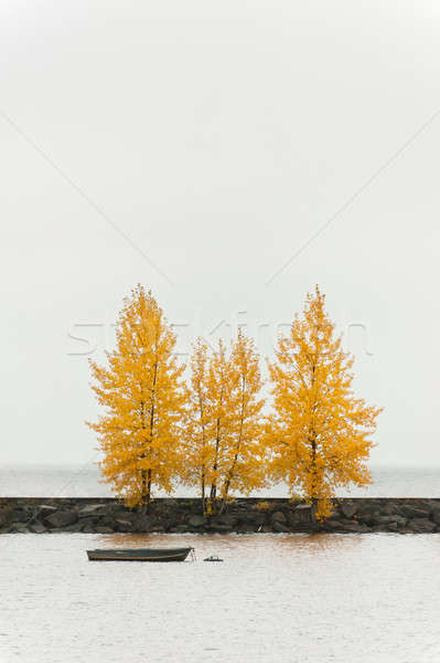Trees in autumn color on a harbor quay Stock photo © 3523studio