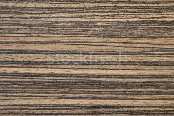 Zebrano Wooden texture Stock photo © 3pphoto31