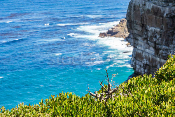 Nature landscape next to Cape town city, oceanscape with high cl Stock photo © 3pphoto31