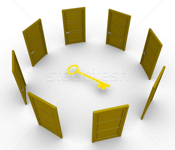 Stock photo: Many doors but one key