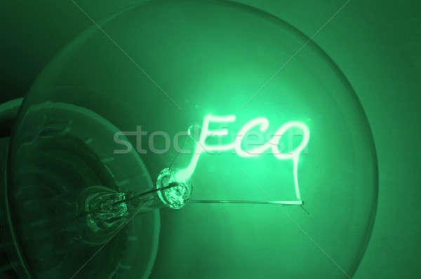 Ecological  green energy. Stock photo © 72soul
