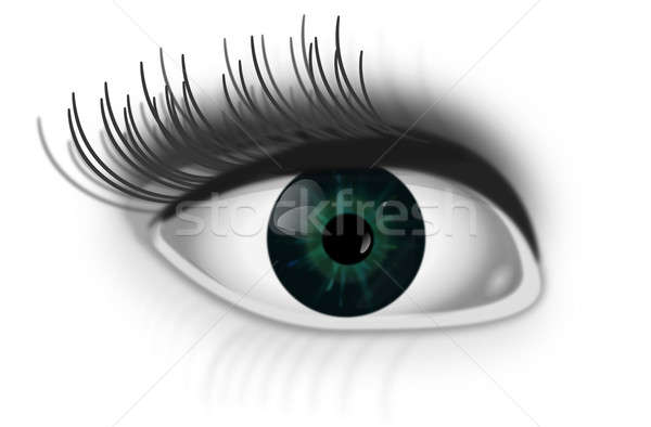 Auge Illustration grünen menschlichen weiß Augen Stock foto © 72soul