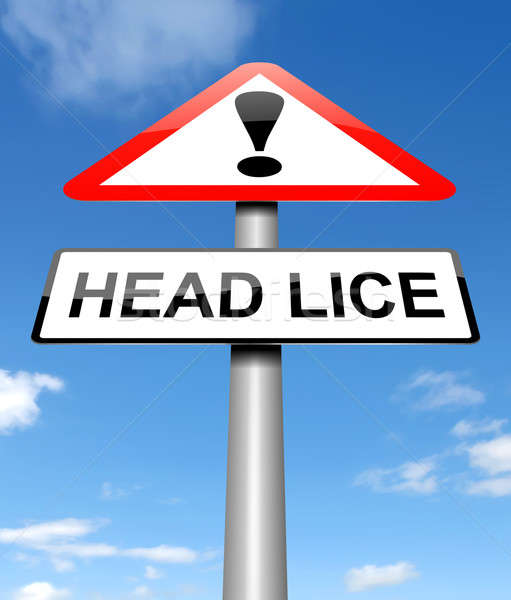 Head lice concept. Stock photo © 72soul