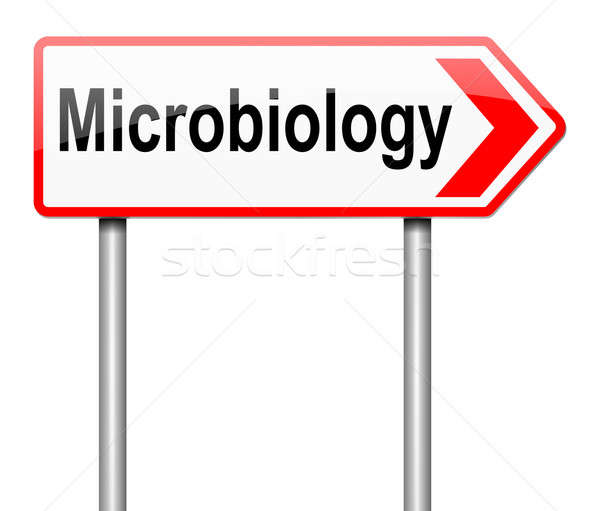 Mikrobiológia illusztráció felirat vezető orvosi tudomány Stock fotó © 72soul