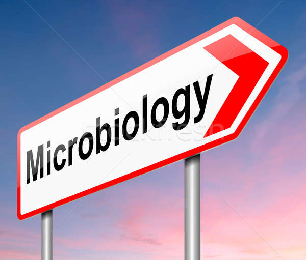 Stock fotó: Mikrobiológia · illusztráció · felirat · vezető · orvosi · háttér